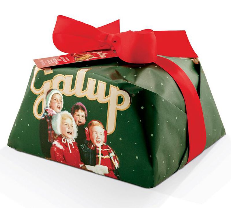 Galup Panettone with Dark Chocolate Chips and Pistachio Cream Filling - 900g image number 0
