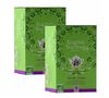 Pack Th&eacute; Vert Jasmin Bio - 2 x 20 sachets - ENGLISH TEA SHOP image number 0