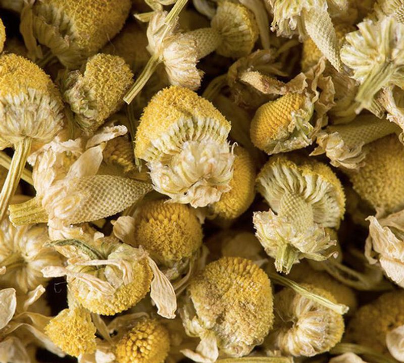 Tisane Camomille - Vrac 100 g -  DAMMANN FR&Egrave;RES image number 2