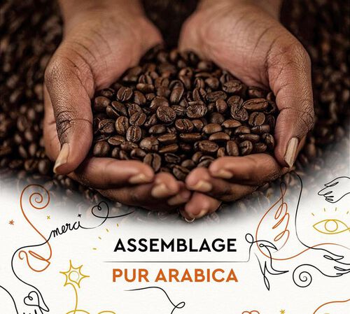 8 kg - Caf&eacute; en grain - Grains Solidaires - CARTE NOIRE image number 3