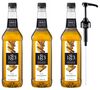 Lot de 3 Sirops 1883 Pain d'&eacute;pices- Bouteille Plastique - 3x1L + Pompe doseuse - ROUTIN image number 0