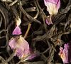 N&deg;20 Passion de Fleurs white tea - 60g tin of loose leaf tea - Dammann Fr&egrave;res image number 2