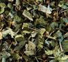 Lime Blossom Mint Herbal Tea - 25 berlingo tea bags - Compagnie Coloniale image number 1