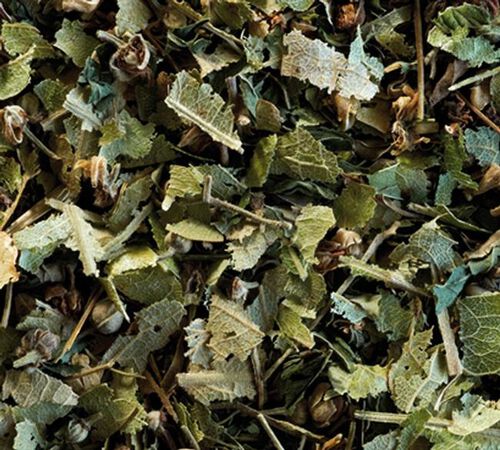 Lime Blossom Mint Herbal Tea - 25 berlingo tea bags - Compagnie Coloniale image number 1