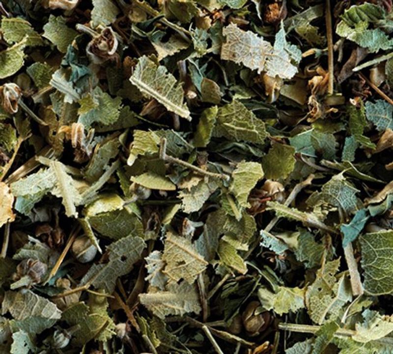 Lime Blossom Mint Herbal Tea - 25 berlingo tea bags - Compagnie Coloniale image number 1