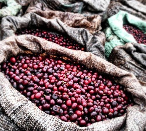 Organic Green Coffee Beans From Mexico Altura Region - Water Decaffeinated - 2 x 500g image number 1