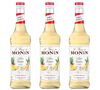 Lot de 3 Sirops + pompe doseuse - Banane Jaune - 3 x 70cl image number 0