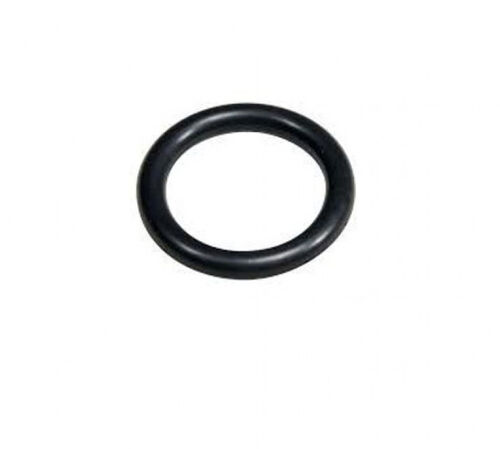 The Rinser - Spare Gasket for Jug Rinser