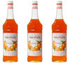 Lot de 3 Sirops Orange 3 x 1L - MONIN image number 0