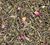 Comptoir Fran&ccedil;ais du Th&eacute; 'Rose-litchi' green tea - 100g loose leaf tea image