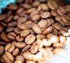 5 Kg Caf&eacute; en grain Bio D&eacute;caf&eacute;in&eacute; - Cafe Preko image number 1