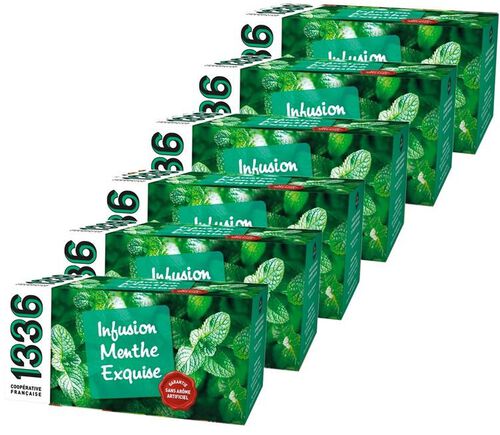 Infusions Menthe Exquise - 6 x 25 sachets - 1336 (Scop TI)