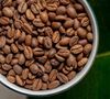 2 x 250 g - Caf&eacute; en grain - Aymara Bio - GREEN LION COFFEE image number 2