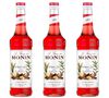 Lot de 3 Sirops- Epices d'hiver - 3 x 70cl - MONIN image number 0