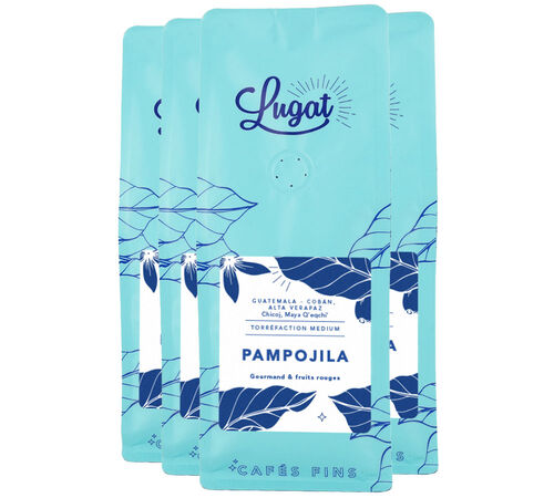 Coffee Beans - Finca Pampojila - Lugat - 4 x 250g