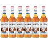 Monin Sirup Karamell ohne Zucker 6 x 0,7 L image number 0