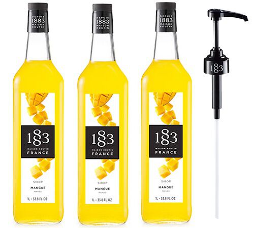 Sirop Mangue- Bouteille plastique - 3 x 1L + Pompe doseuse 1883 ROUTIN