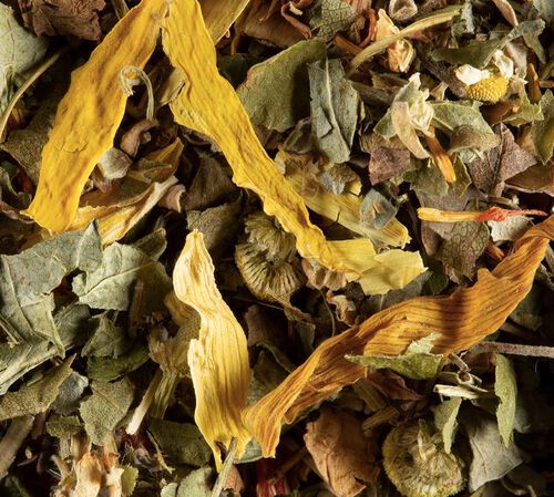 Dammann Fr&egrave;res Herbal Tea Tisane Fruits Exotiques - 100g