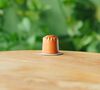 50 Nespresso* Original Compatible Capsules Organic Savannah Blend &ndash; GREEN LION COFFEE image number 1