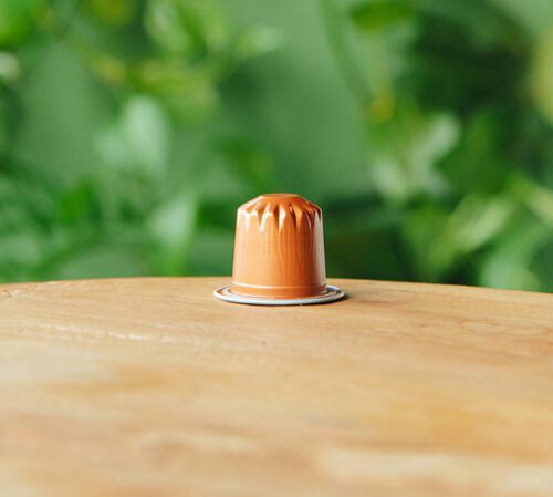 10 capsule compatibili Nespresso* Original Le M&eacute;lange Savanah Bio &ndash; Green Lion Coffee image number 1
