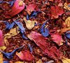 Rooibos Fruits et Fleurs du Soleil - Vrac 100 g - COMPGNIE & CO image number 0