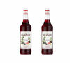 Sirop Monin - Grenadine - 2 x 1 L image number 0
