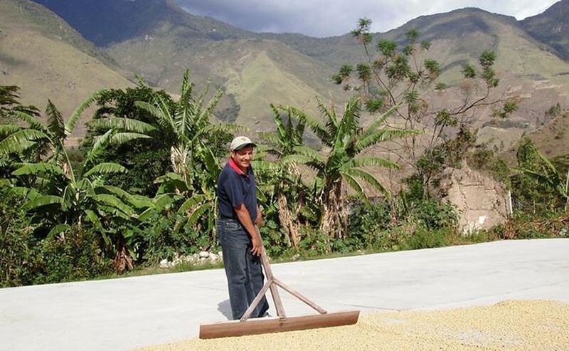 Caf&eacute;s Lugat Altura organic ground coffee for Moka Pots - 250g image number 1