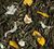 Dammann Fr&egrave;res Green Tea Joli C&oelig;ur - 100g Loose Leaf Tea image