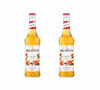 Sirop Monin - &Eacute;rable et &Eacute;pices - 2 x 70 cl image number 0