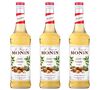 Sirop Noisette 3 x 70cl - MONIN image number 0