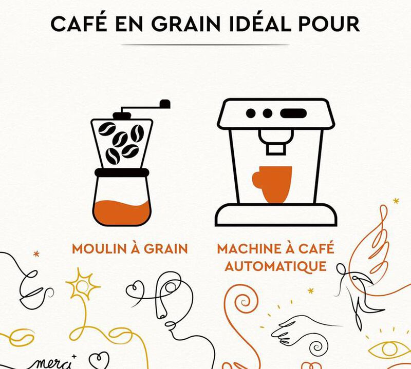 500 g - Caf&eacute; en grain - Grains Solidaires - CARTE NOIRE image number 4