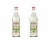 Sirop bio Monin - Menthe - 2 x  1L image number 0