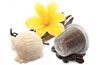Caff&egrave; Bonini Vanilla-flavoured coffee Nespresso&reg; Compatible Capsules x 50 image number 1