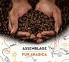 500 g - Caf&eacute; en grain - Grains Solidaires - CARTE NOIRE image number 2