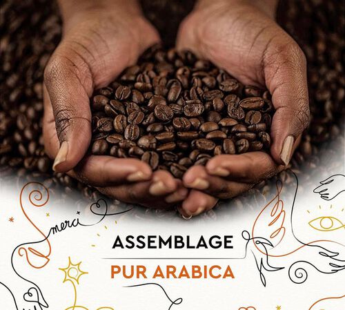 500 g - Caf&eacute; en grain - Grains Solidaires - CARTE NOIRE image number 2