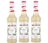 Lot Sirops- Jasmin - 3 x 70cl - MONIN image number 0