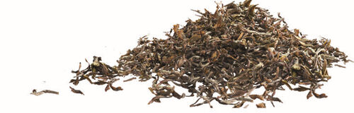 Breakfast black tea  - 20 individually-wrapped tea bags - Terra Etica image number 1