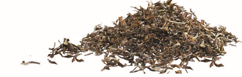 Terra Etica Organic Green Tea - 20 Tea Bags image number 1