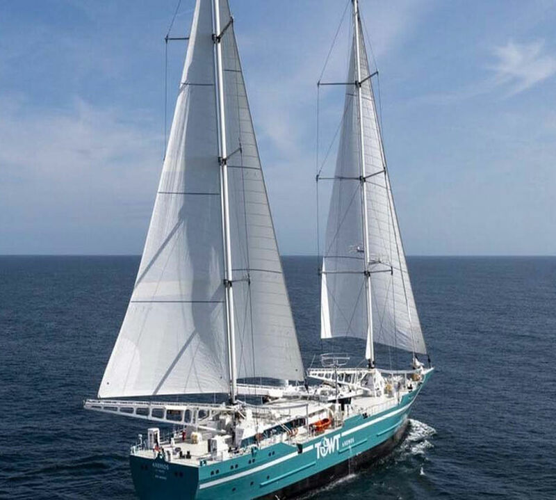 Green Lion Coffee Organic Coffee Beans La Pradera - 250g image number 1