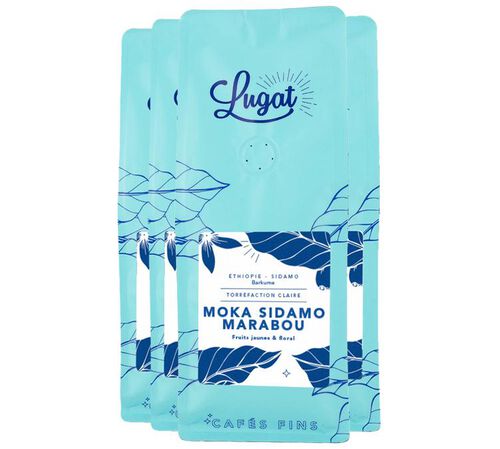 Lugat Coffee Beans Moka Sidamo Marabou from Ethiopia - 4 x 250g