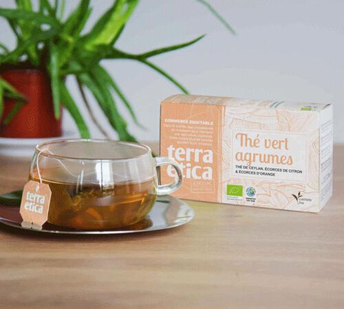 Th&eacute; Vert Agrumes Bio & Equitable - 20 sachets - TERRA ETICA image number 1