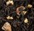 Dammann Fr&egrave;res - T&egrave; nero sfuso Tourbillon 100 g image