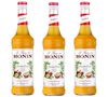 Lot de Sirops Passion 3 x 70cl - MONIN image number 0