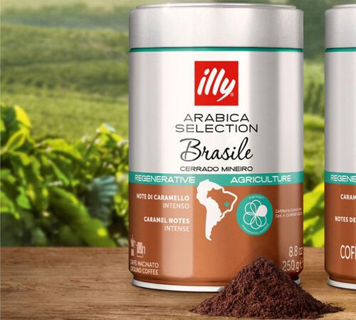 Caf&eacute; moulu -  Br&eacute;sil Cerrado Mineiro - 250 gr - ILLY image number 3