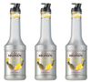 Lot de 3 Pur&eacute;es de Fruit Monin - Ananas - 3 x 1L image number 0