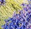 Horae Organic Flowering Tea Woodland Flowers x 2 image number 5