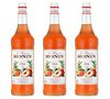 Lot de 3 Sirops Monin - P&ecirc;che - 3 x 1 L image number 0