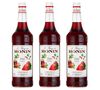 3 x Sirop Monin - Fraise - 1 l image number 0