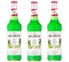 Lot de 3 Sirops - Banane Verte -  x 70cl - MONIN image number 0