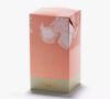 Peach Iced Tea Dammann Fr&egrave;res x 6 Tea Bags image number 0